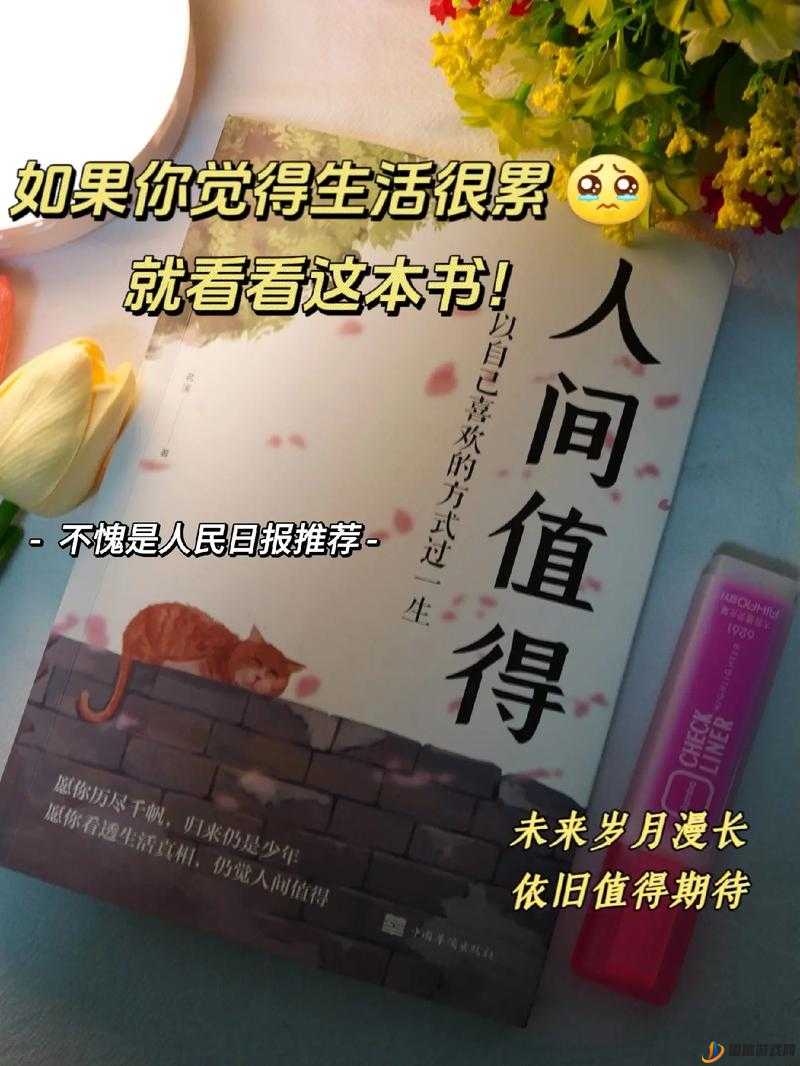 如果一生只有三十岁，那该如何度过这短暂而精彩的时光